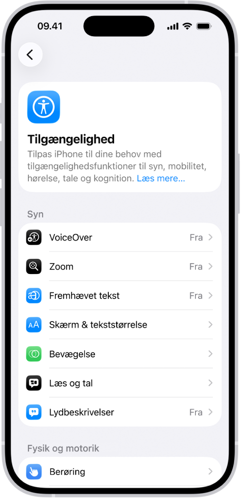 Skærmen Tilgængelighed i Indstillinger, der viser indbyggede funktioner til understøttelse af Syn.
