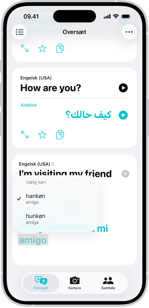 Fanen Oversættelse, der viser et udtryk oversat fra engelsk til spansk, og et ord fremhævet med grå med forskellige kønsvariationer vist nedenfor.
