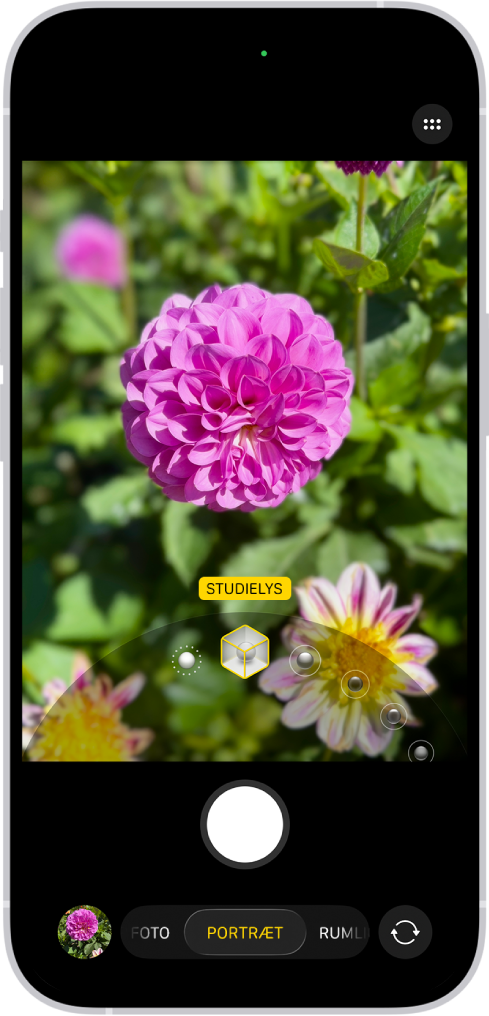 Kameraskærmen er i funktionen Portræt, i søgeren er motivet skarpt, og baggrunden er sløret. Drejeknappen til valg af portrætlys er åben nederst på billedet, og Studielys er valgt.