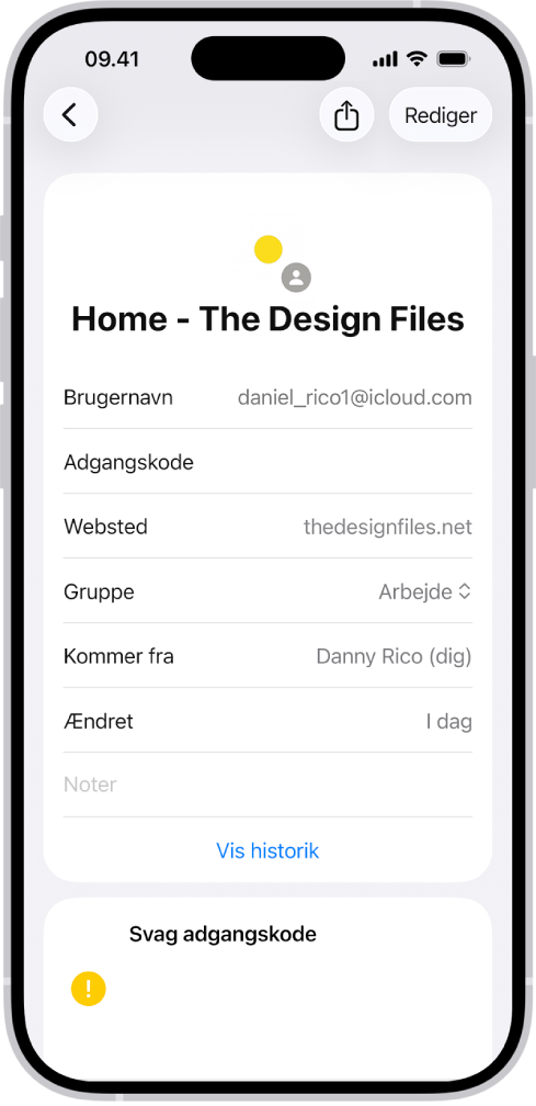 En liste over alle konti med adgangskoder, der er lagret i appen Adgangskoder.