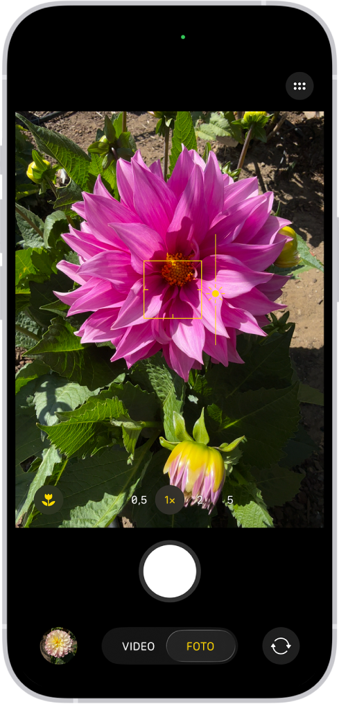 Die App „Kamera“ ist im Modus „Foto“ geöffnet. Der Sucher mit fixiertem Fokus auf einem Motiv und einem Regler zum Anpassen der Helligkeitsstufe neben dem Motiv.