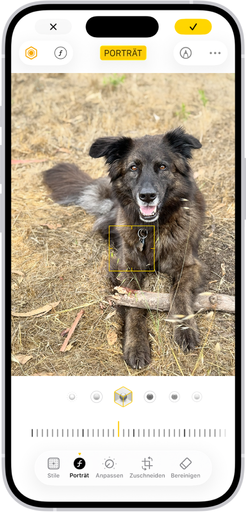 Der Bearbeitungsbildschirm in der App „Fotos“ mit einem Porträt in der Mitte. Unter dem Foto befinden sich die Optionen für das Porträtlicht. Die Option „Studiolicht“ ist ausgewählt. Darunter befindet sich ein Regler zum Anpassen der Effektintensität. Unten auf dem Bildschirm sind von links nach rechts die Tasten „Porträt“, „Anpassen“, „Filter““ und „Zuschneiden“ zu sehen. Die Taste „Porträt“ ist ausgewählt.