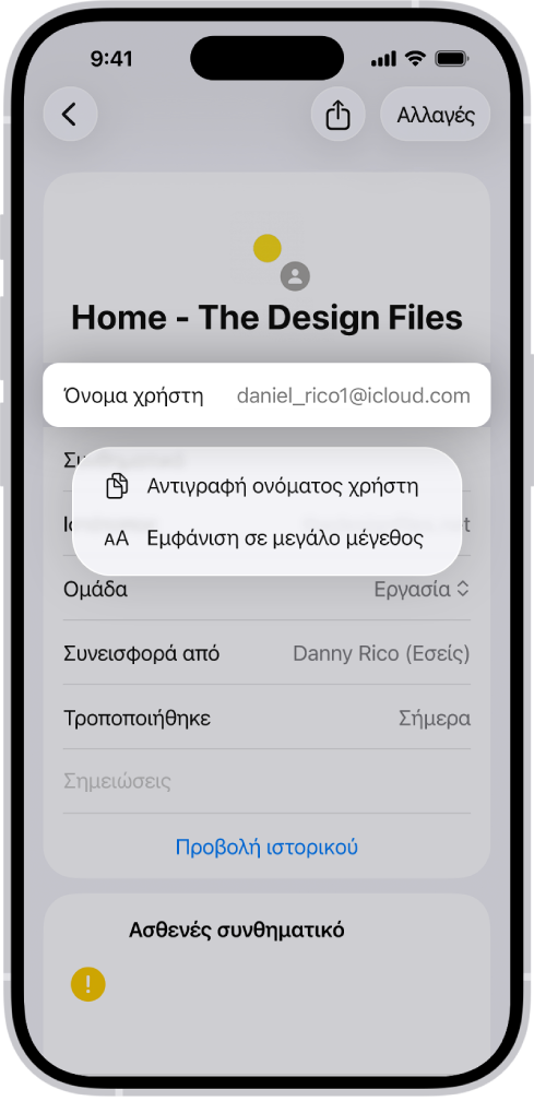 Μια οθόνη λογαριασμού που εμφανίζει το όνομα χρήστη επισημασμένο, με επιλογές για Αντιγραφή ονόματος χρήστη και Εμφάνιση σε μεγάλο μέγεθος.