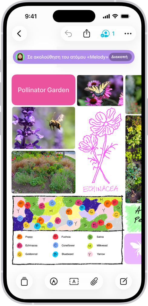 Ένα iPhone με ανοιχτή την εφαρμογή Freeform. Ο καμβάς περιλαμβάνει χειρογραφή, κείμενο, σχέδια, σχήματα, φωτογραφίες, βίντεο, αυτοκόλλητες σημειώσεις, συνδέσμους και άλλα αρχεία.