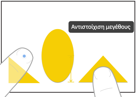 Δύο δάχτυλα σε δύο χέρια επιλέγουν και αντιστοιχίζουν τα μεγέθη δύο στοιχείων στο Freeform.