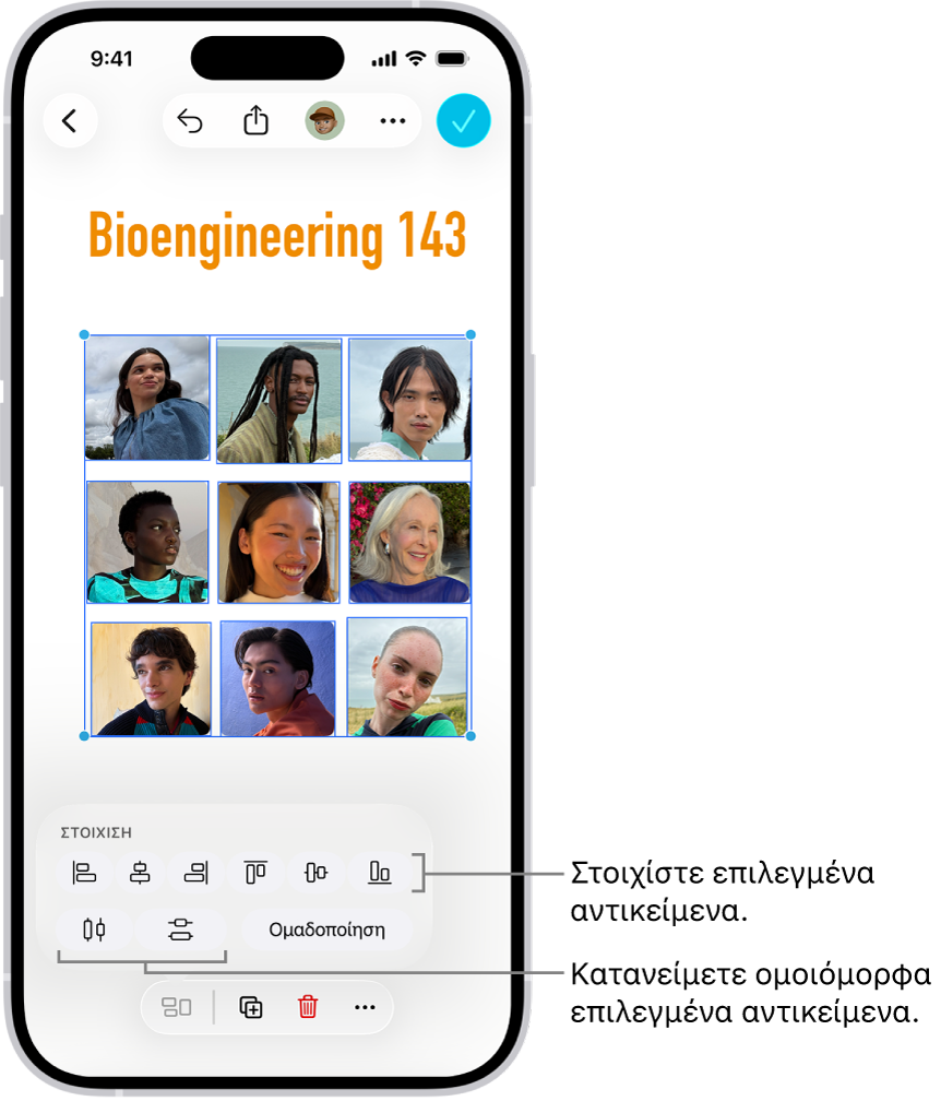 Ένας καμβάς Freeform με ένα πλέγμα φωτογραφιών. Επιλέγονται πολλές φωτογραφίες και πάνω από αυτές εμφανίζονται τα εργαλεία στοίχισης και ομαδοποίησης.