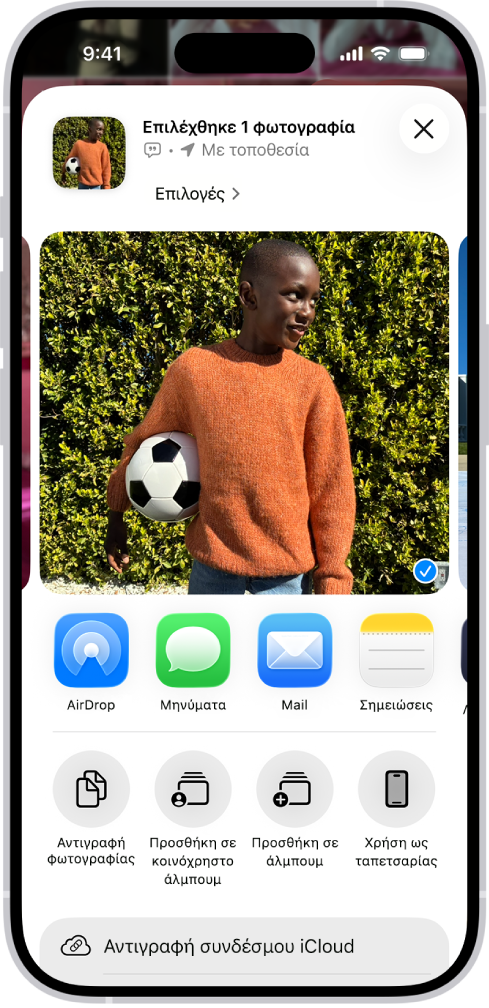 Μια επιλεγμένη φωτογραφία εμφανίζεται στο πάνω μισό της οθόνης του iPhone, με μια σειρά επιλογών κοινής χρήσης από κάτω. Κάτω από αυτές εμφανίζονται πρόσθετες επιλογές, όπως «Αντιγραφή φωτογραφίας», «Προσθήκη σε κοινόχρηστο άλμπουμ», «Προσθήκη σε άλμπουμ» και «Χρήση ως ταπετσαρίας».