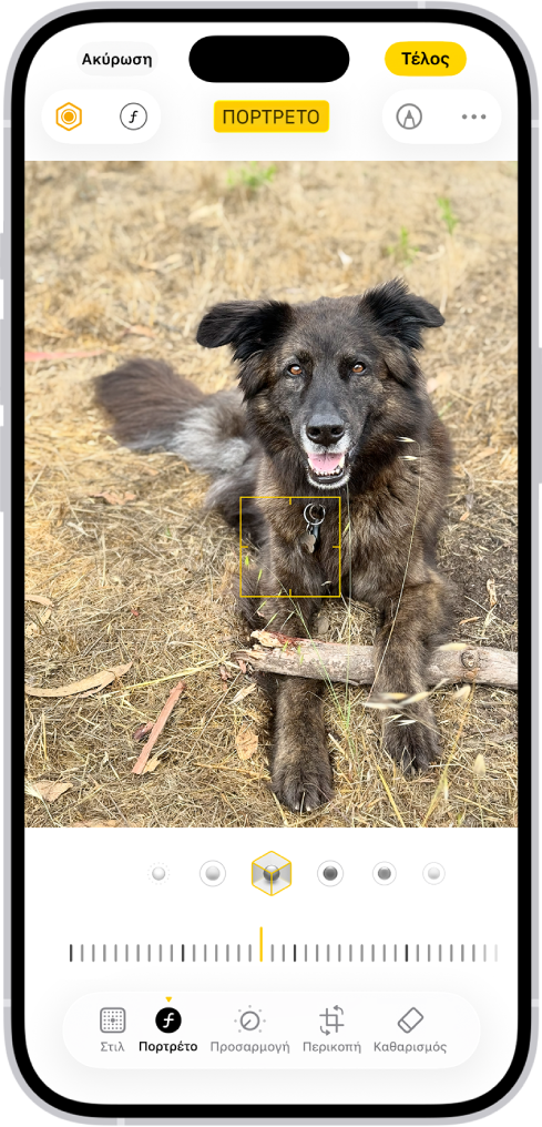 Η οθόνη «Αλλαγές» στην εφαρμογή «Φωτογραφίες» με ένα πορτρέτο στο κέντρο. Κάτω από τη φωτογραφία βρίσκονται οι επιλογές Φωτισμού πορτρέτου. Ο Φωτισμός στούντιο είναι επιλεγμένος. Παρακάτω είναι ένα ρυθμιστικό για προσαρμογή του επιπέδου του εφέ. Στο κάτω μέρος της οθόνης, από αριστερά προς δεξιά, βρίσκονται τα κουμπιά «Πορτρέτο», «Προσαρμογή», «Φίλτρα» και «Περικοπή». Το κουμπί «Πορτρέτο» είναι επιλεγμένο.