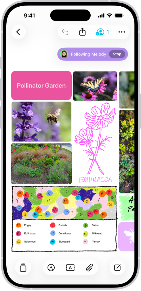 An iPhone with the Freeform app open. The board includes handwriting, text, drawings, shapes, photos, videos, sticky notes, links, and other files.
