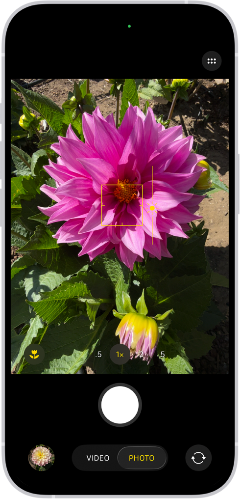 Camera is open in Photo mode. In the viewfinder, focus is locked on a subject and a slider to adjust the brightness level is next to the subject.