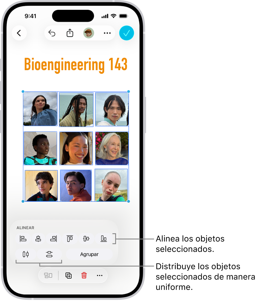 Un pizarrón de Freeform que muestra una cuadrícula de fotos. Varias de las fotos están seleccionadas y, arriba de ellas, se muestran herramientas de alineación y agrupación.