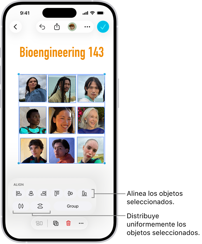 Pizarra de Freeform llena con una cuadrícula de fotos. Hay varias fotos seleccionadas y, encima de ellas, están las herramientas de alineación y agrupación.