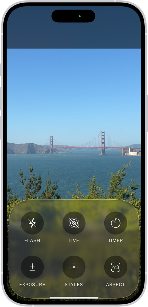 La app Cámara en modo Foto. En la parte inferior de la pantalla, están los botones de los siguientes controles de la cámara: Flash, Live, Temporizador, Exposición, Estilos y Aspecto.