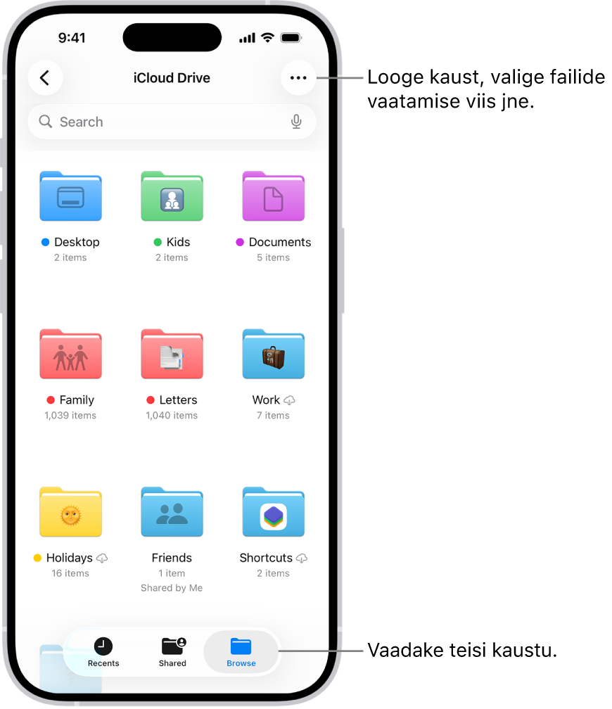 Rakenduses Files kuvatakse iCloud Drive'is olevaid faile ja kaustu. Menüüs More on valikud üksuste valimiseks, uue kausta loomiseks ning Scan Documents ja Connect to Server. Selle all on üksuste kuvamiseks ekraanil valikud Icons või List. All on sortimisvalikud Name, Kind, Date, Size ja Tags, mille järel on valik View Options.