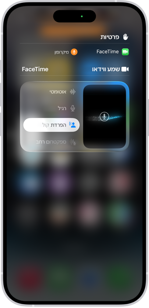 הגדרות ״מרכז הבקרה״ עבור שיחות FaceTime המציגות את ההגדרות השמע ״אוטומטי״, ״רגיל״, ״הפרדת קול״ ו״ספקטרום רחב״.