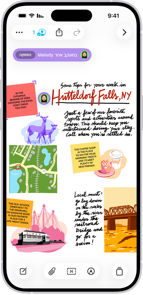 מישהו עוקב אחר הלוח של מישהו אחר ב‑Freeform.