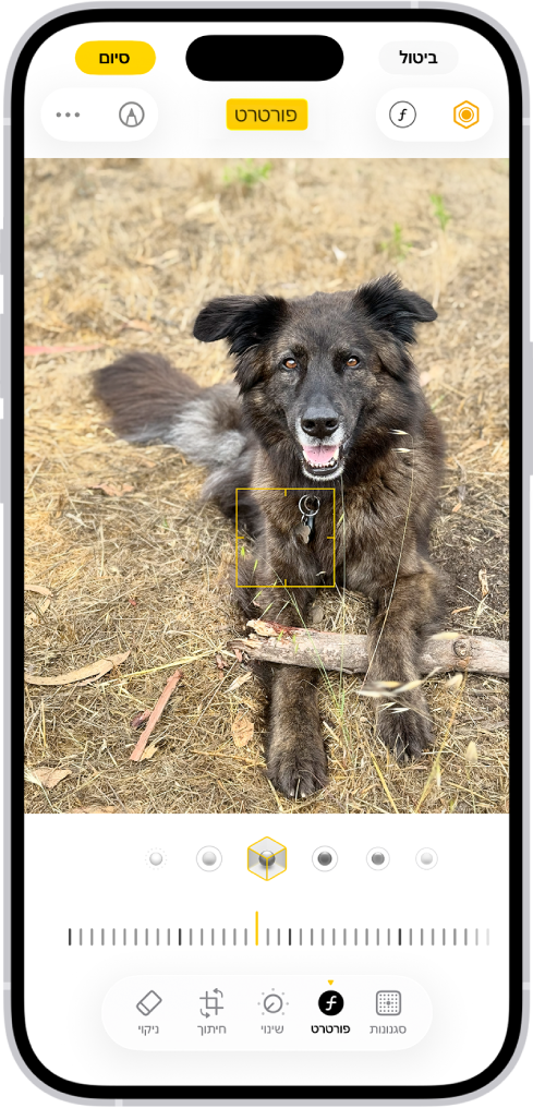 מסך העריכה ביישום ״תמונות״ עם תמונת פורטרט במרכז. מתחת לתמונה מופיעות אפשרויות של ״תאורת פורטרט״. ״תאורת אולפן״ נבחרה. מתחת מופיע מחוון לשינוי רמת האפקט. בתחתית המסך משמאל לימין נמצאים הכפתורים ״פורטרט״, ״התאמה״, ״מסננים״ ו״חיתוך״. הכפתור ״פורטרט״ נבחר.