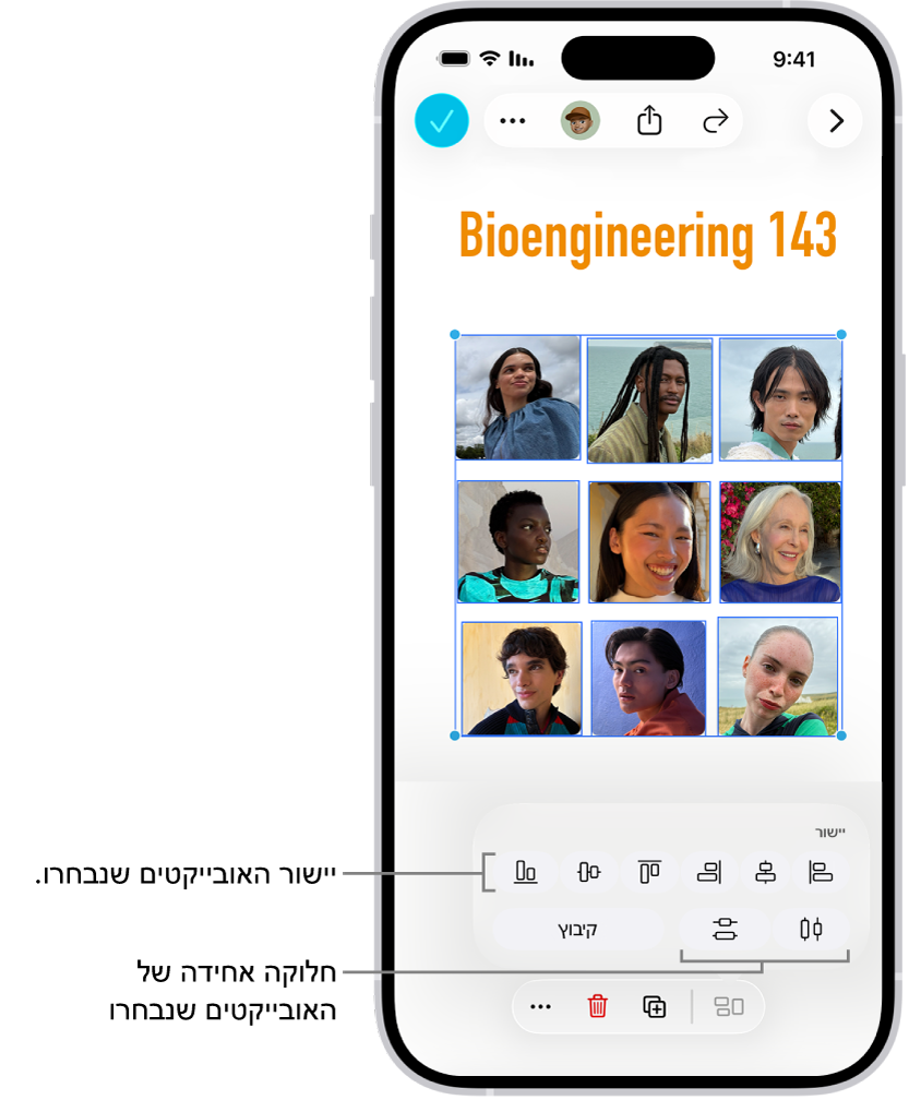 רשת של תמונות שתופס לוח Freeform שלם. נבחרות מספר תמונות, וכלי היישור והקיבוץ מופיעים מעליהן.