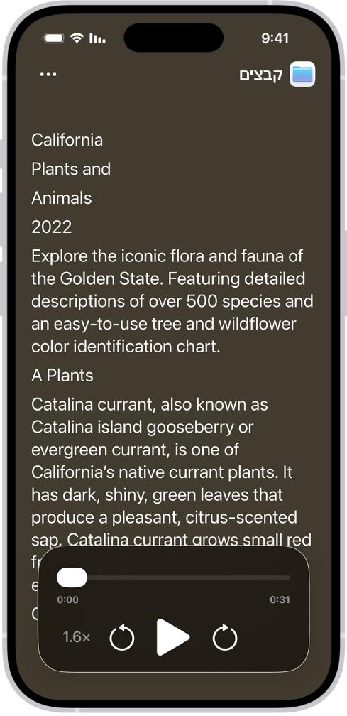 מסך ״קורא הנגישות״ מציג מלל מ״קבצים״ שמופיע עם מלל גדול על רקע שחור.