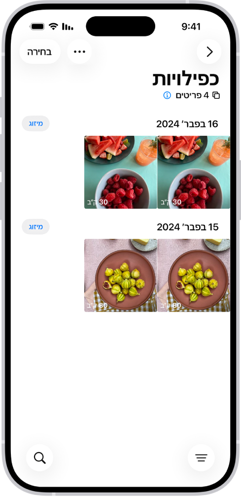 מסך ״כפולים״ מציג תמונות כפולות, זו לצד זו. מצד שמאל של המסך יש כפתורי ״מיזוג״, כדי למזג כל זוג של תמונות כפולות.