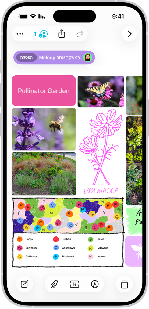 היישום Freeform פתוח ב-iPhone. הלוח כולל כתב יד, מלל, ציורים, צורות, תמונות, סרטונים, פתקים נדבקים, קישורים וקבצים נוספים.