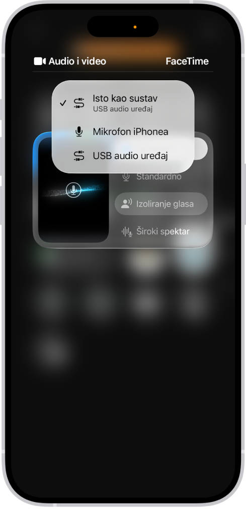 Kontrole za odabir izvor unosa zvuka za FaceTime poziv.