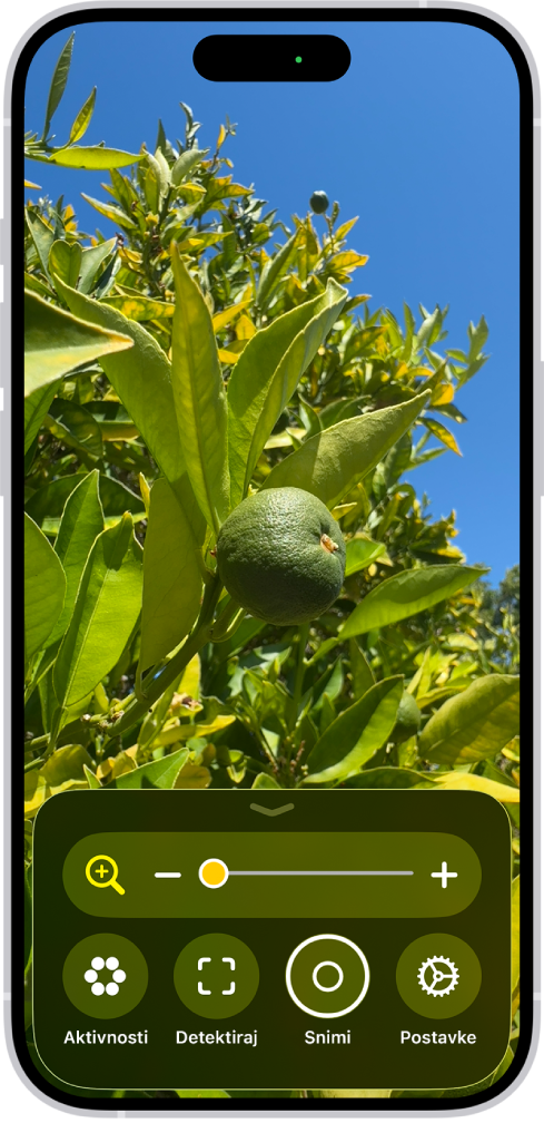 Aplikacija Povećalo prikazuje sliku nezrele naranče izbliza.