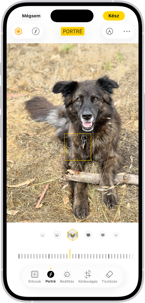 A Fotók app Szerkesztés képernyője, ahol középen egy portré látható. A fénykép alatt találhatóak a Portrémegvilágítás beállításai. A Stúdiófény van kijelölve. Az alatta lévő csúszka az effektus intenzitásának módosítására használható. A képernyő alján balról jobbra haladva a következő gombok jelennek meg: Portré, Beállítás, Szűrők és Körbevágás. A Portré gomb van kijelölve.