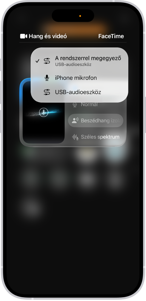 A FaceTime-hívás hangbemeneti forrásának kiválasztására szolgáló vezérlők.