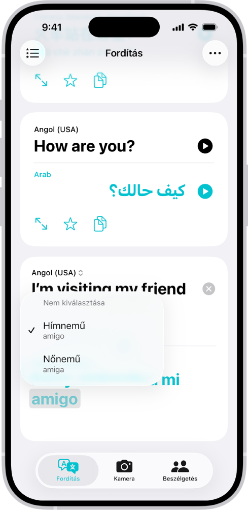 A Fordítás lap, amelyen egy angolról spanyol nyelvre lefordított kifejezés látható. A szürkével kijelölt szó többféle nyelvtani nemi variációval rendelkezik, amelyek alatta vannak felsorolva.