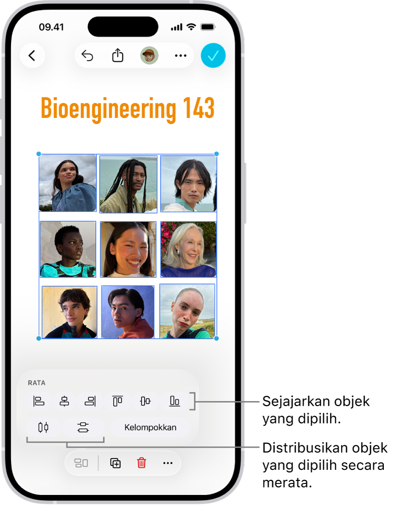 Bidang Freeform diisi dengan grid foto. Beberapa foto dipilih, dan alat penyejajaran dan pengelompokan muncul di bawahnya.