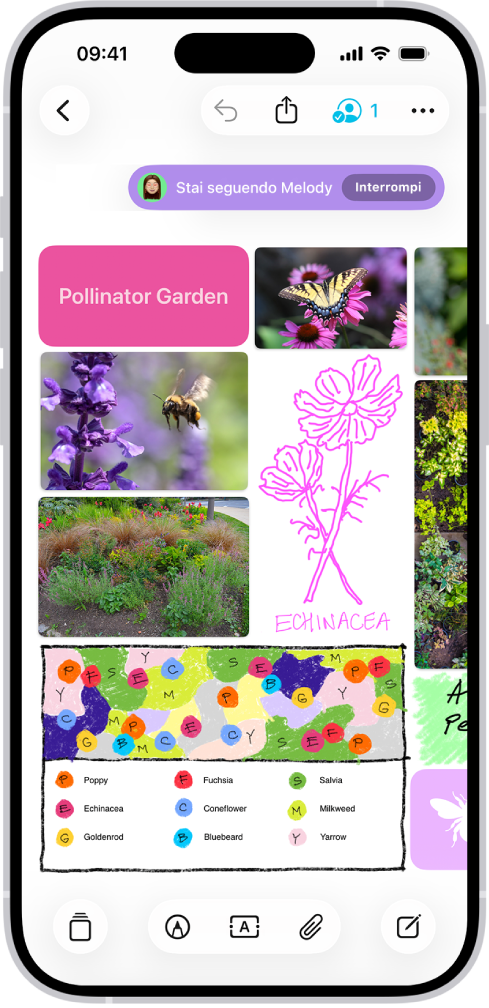 L’app Freeform è aperta su un iPhone. Sulla lavagna sono presenti scritte a mano, testi, disegni, forme, foto, video, memo, link e altri file.