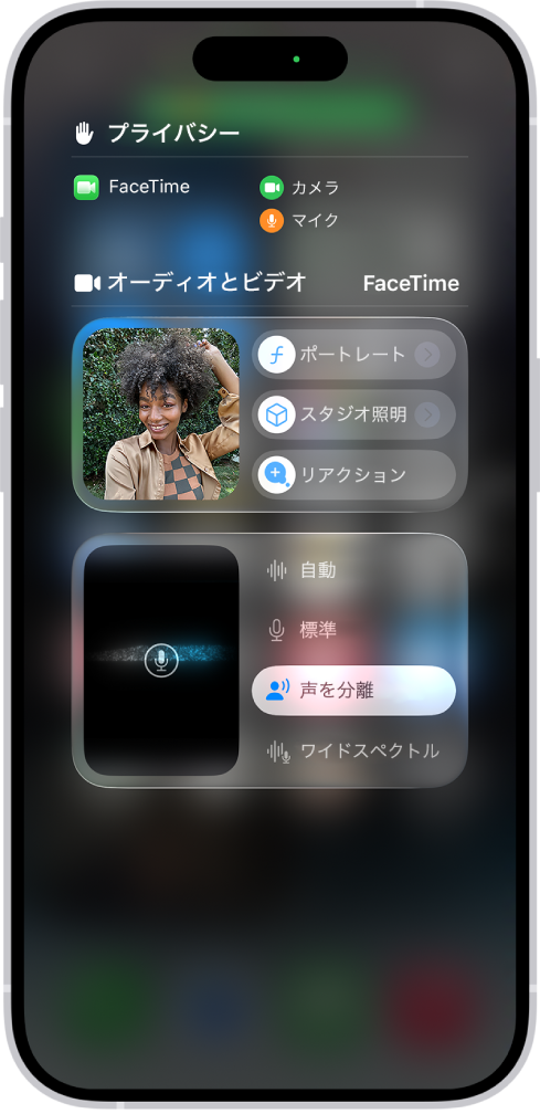 コントロールセンター。オーディオおよびビデオのエフェクトのオプションが表示されています。