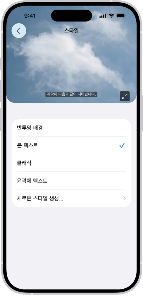 사용자 설정 스타일이 적용된 자막의 예가 표시되어 있는 iPhone.