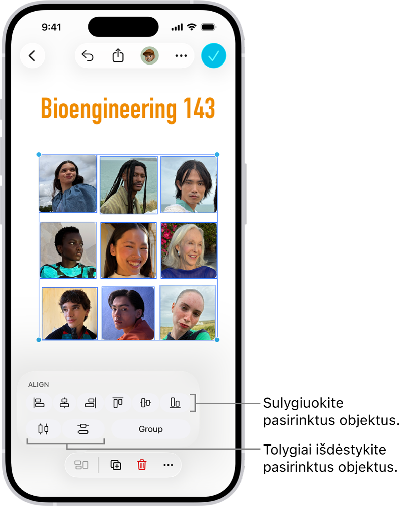 „Freeform“ lenta užpildyta tinklelio nuotraukomis. Pasirenkamos kelios nuotraukos, o virš jų rodomi lygiavimo ir grupavimo įrankiai.