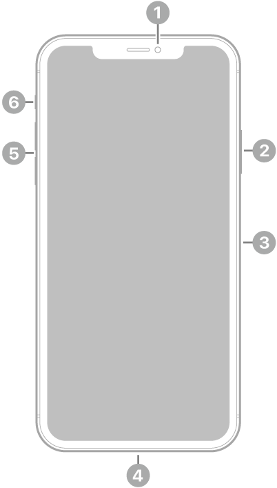iPhone 11 Pro Max-ന്റെ മുൻവശ കാഴ്ച. മുൻവശ ക്യാമറ ഏറ്റവും മുകളിൽ മധ്യത്തിലാണ്. വലത് വശത്ത്, മുകളിൽ നിന്ന് താഴേക്ക്, സൈഡ് ബട്ടണും സിം ട്രേയുമാണ്. Lightning കണക്റ്റർ താഴെയാണ്. ഇടത് വശത്ത്, താഴെ നിന്ന് മുകളിലേക്ക്, വോള്യം ബട്ടണുകളും റിങ്/നിശബ്ദ സ്വിച്ചും ആണ്.