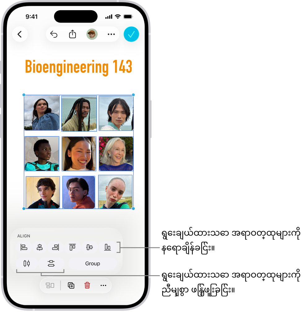 ဓါတ်ပုံအကွက်များဖြင့် ဖြည့်ထားသော Freeform ဘုတ်ပြားတစ်ခု။ ဓာတ်ပုံအများအပြားကိုရွေးချယ်ထားသည်၊ ထို့အပြင်နေရာချိန်ခြင်းနှင့် အုပ်စုဖွဲ့ကိရိယာများသည် ၎င်းတို့အပေါ်တွင်ပေါ်သည်။