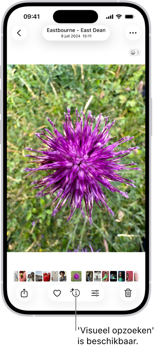 Een foto is open in de Foto's-app. Onder in het scherm heeft de infoknop een symbool dat aangeeft dat 'Visueel opzoeken' beschikbaar is.