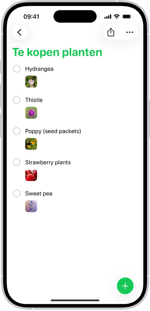 De Herinneringen-app met een lijst met foto's in elke herinnering.