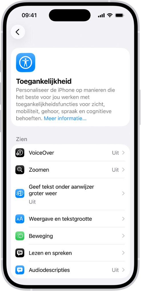 Het scherm 'Toegankelijkheid' in Instellingen, met de ingebouwde functies voor 'Zien'.