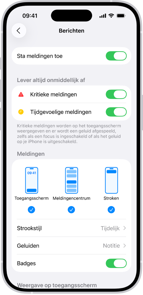 Meldingsinstellingen voor Berichten in Instellingen.