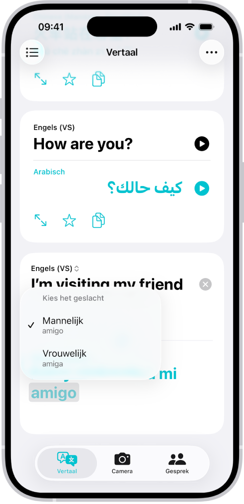 Het tabblad 'Vertaal', met een Engelse zin die naar het Spaans is vertaald. Daaronder is een woord met geslachtsvariaties grijs gemarkeerd.