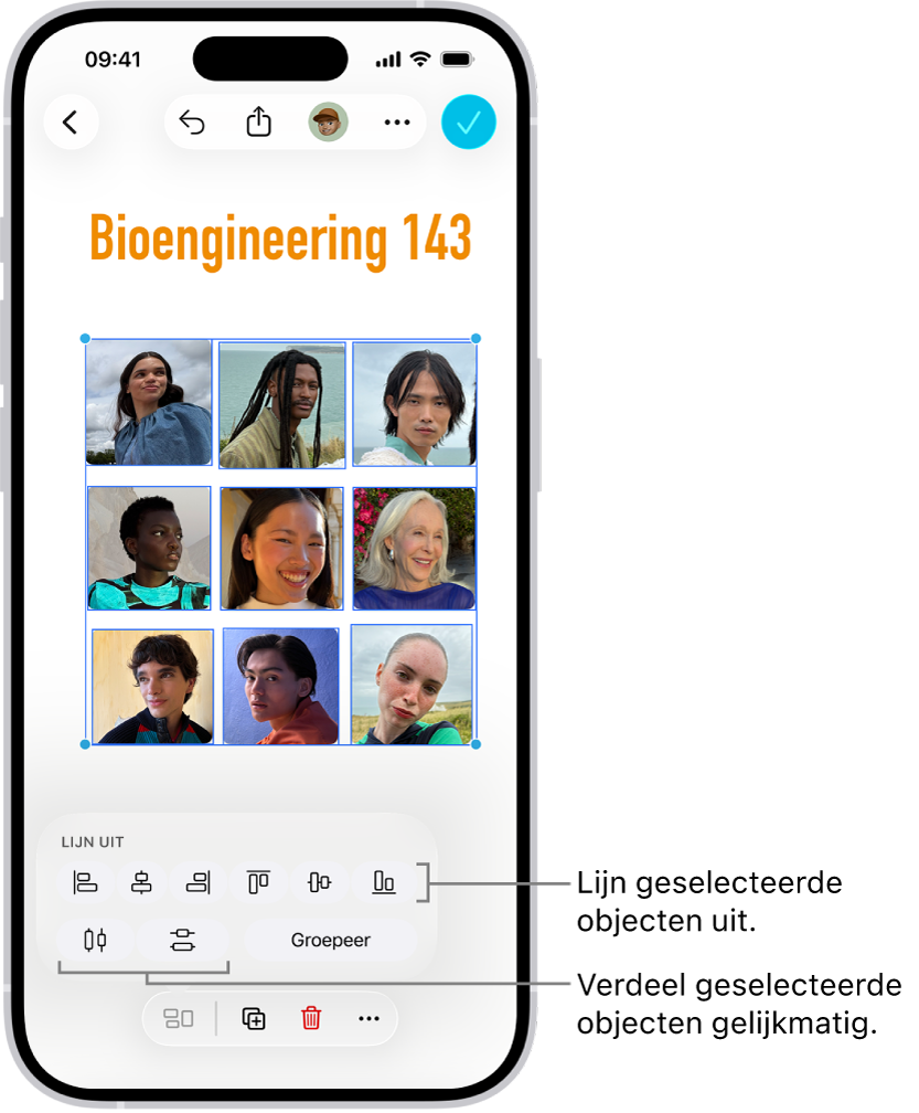 Een Freeform-bord met foto's in een raster. Er zijn meerdere foto's geselecteerd, met daarboven de opties voor uitlijnen en groeperen.