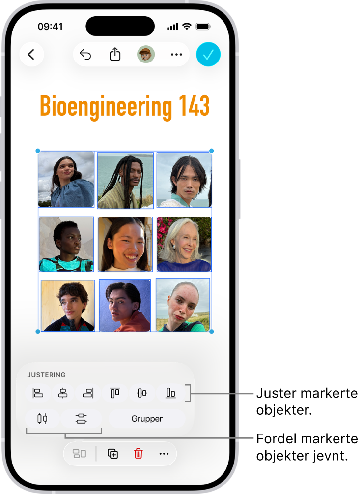 En Freeform-tavle med et rutenett med bilder. Flere bilder er markert, og verktøy for justering og gruppering vises over dem.