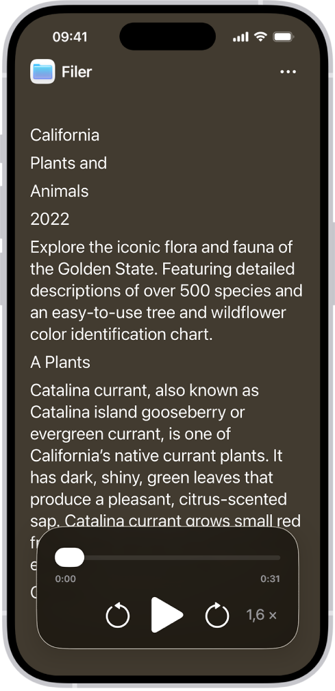 Tilgjengelighetsleser-panne som viser tekst fra Filer med stor tekst mot svart bakgrunn.