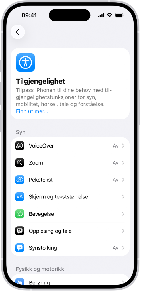 Tilgjengelighet-skjermen i Innstillinger viser de innebygde støttefunksjonene for Syn.