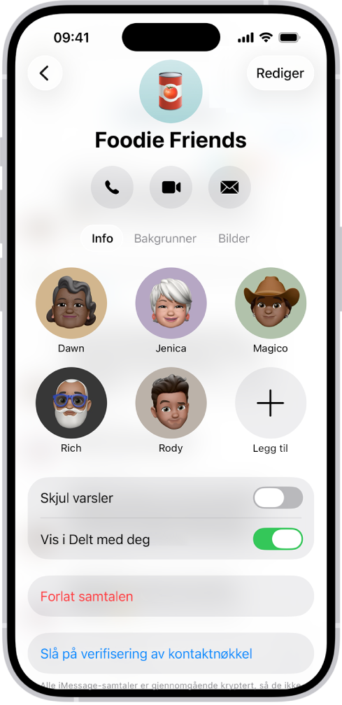 Samtaleinformasjonen for en gruppe.