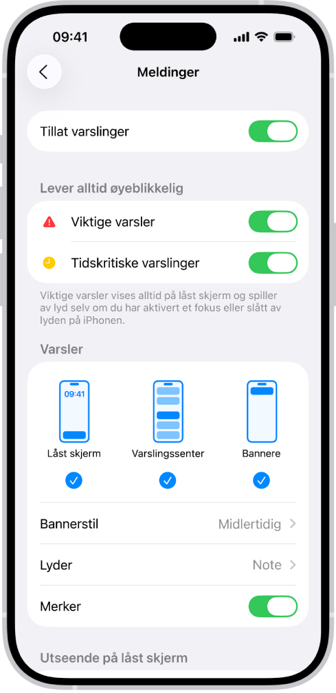 Varslingsinnstillinger for Meldinger vises i Innstillinger.