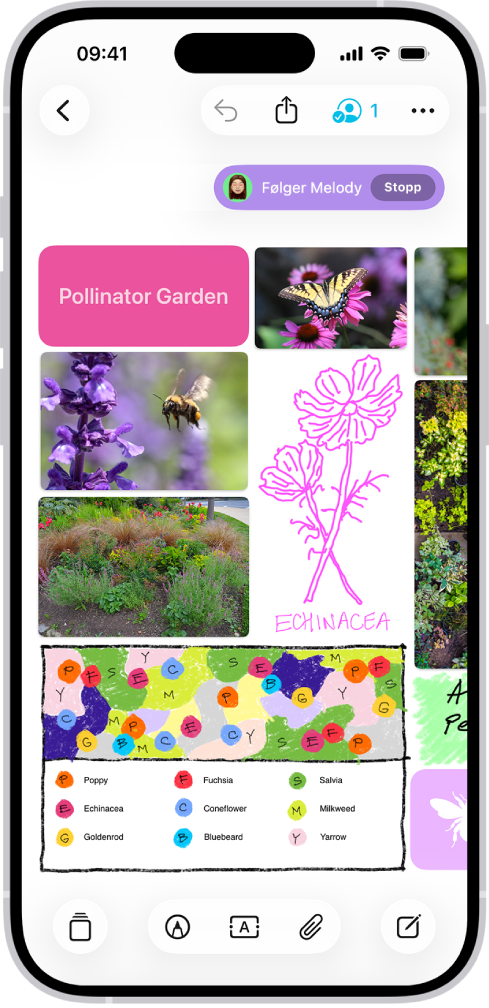 En iPhone med Freeform-appen åpnet. Tavlen inneholder håndskrift, tekst, tegninger, figurer, bilder, videoer, huskelapper, lenker og andre filer.