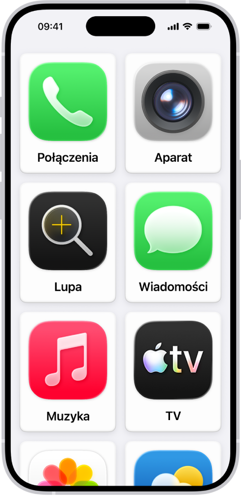 iPhone wyświetlający ekran główny funkcji Dostęp wspomagany z dużą siatką aplikacji.